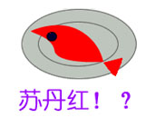 點擊放大